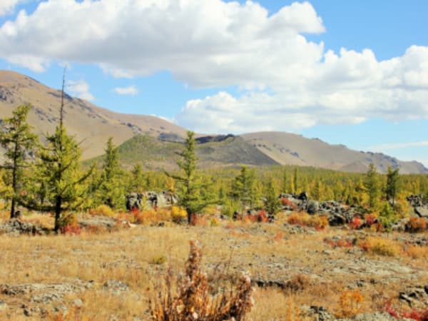 The Great West Expediton:  Arkhangay, Zavkhan, Altai and Almakuk Eagle Festival - 37