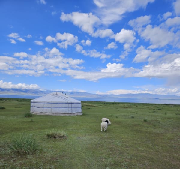 The Great West Expediton:  Arkhangay, Zavkhan, Altai and Almakuk Eagle Festival - 13