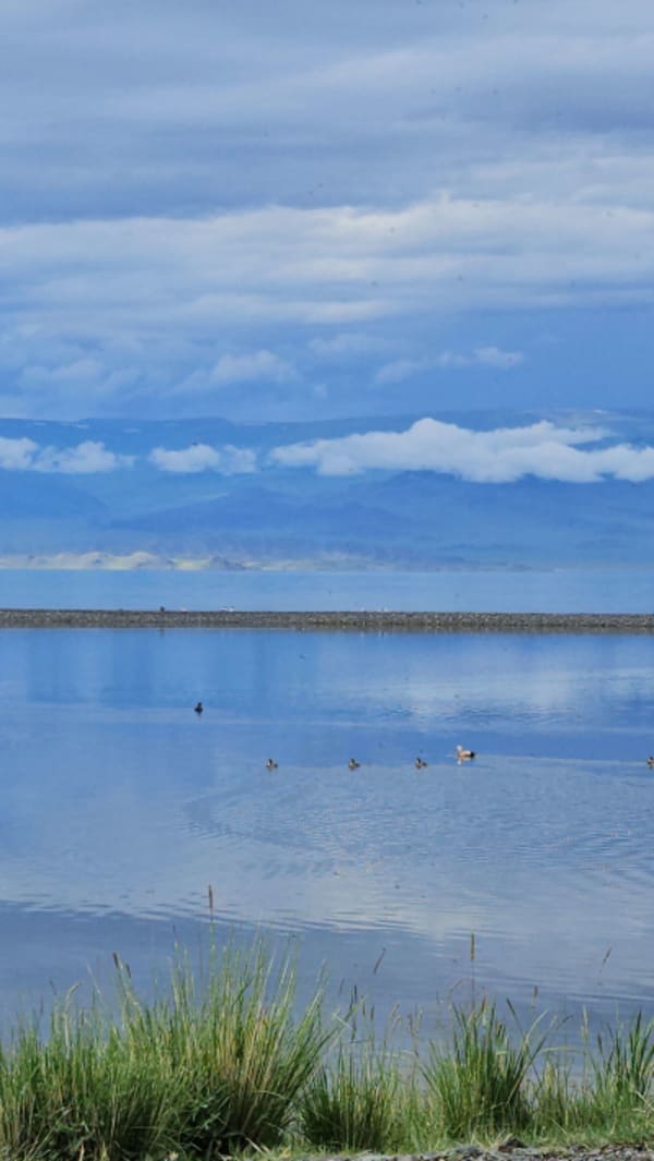 The Great West Expediton:  Arkhangay, Zavkhan, Altai and Almakuk Eagle Festival - 25