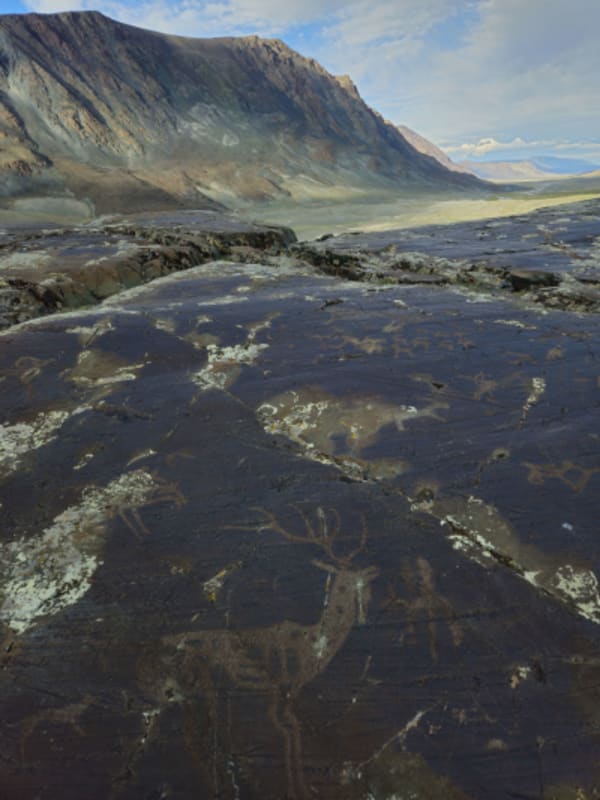 The Great West Expediton:  Arkhangay, Zavkhan, Altai and Almakuk Eagle Festival - 22