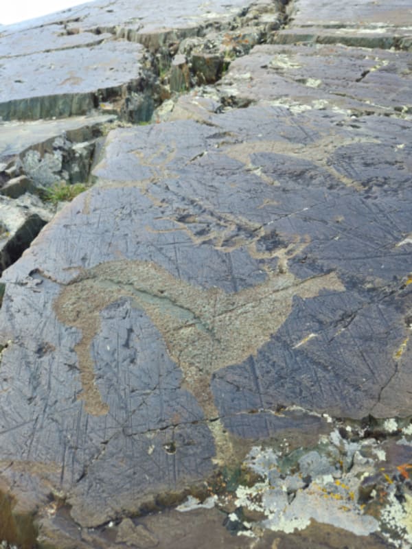 The Great West Expediton:  Arkhangay, Zavkhan, Altai and Almakuk Eagle Festival - 16