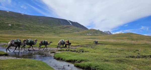 The Great West Expediton:  Arkhangay, Zavkhan, Altai and Almakuk Eagle Festival - 41