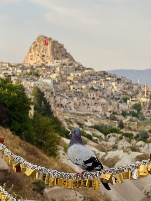 Turkey Uncovered: Timeless Wonders and Heritage - 20