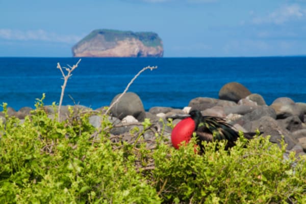 13-night Perú, Ecuador & The Galapagos - 13
