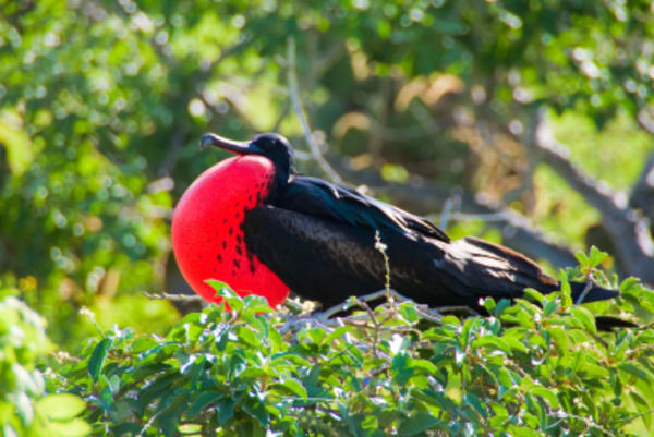 13-night Perú, Ecuador & The Galapagos - 7