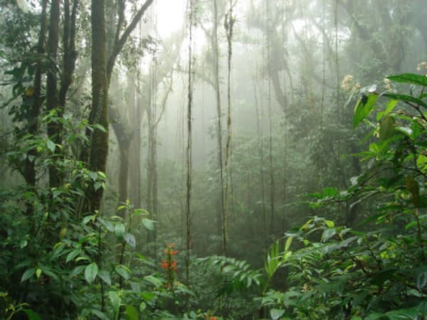 Costa Rica´s Essentials - 8