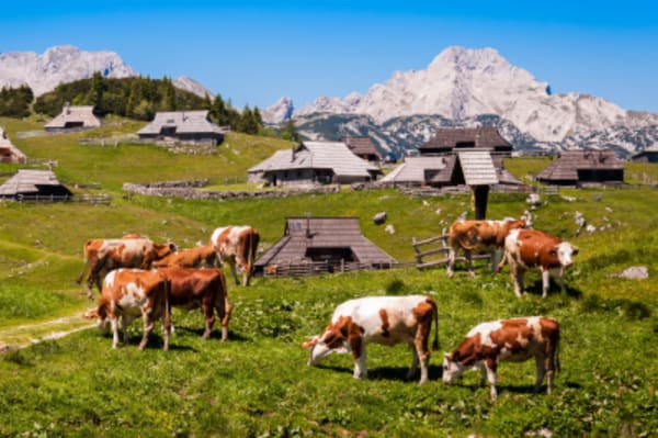 Slovenia Culture and Nature Adventure - 12