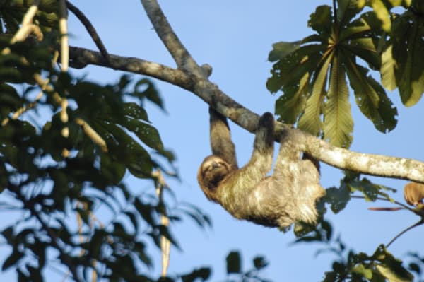 Family Adventure in Costa Rica - 6
