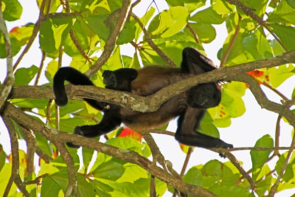 Family Adventure in Costa Rica - 7