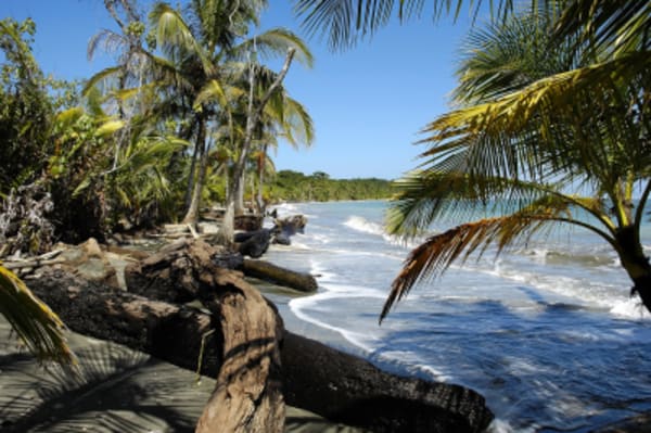 Jungles, Beaches & Volcanos - 5