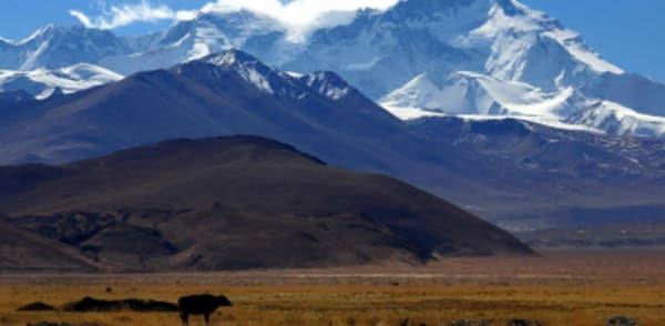 Nepal, Bhutan and Tibet Himalayan Journey - 12