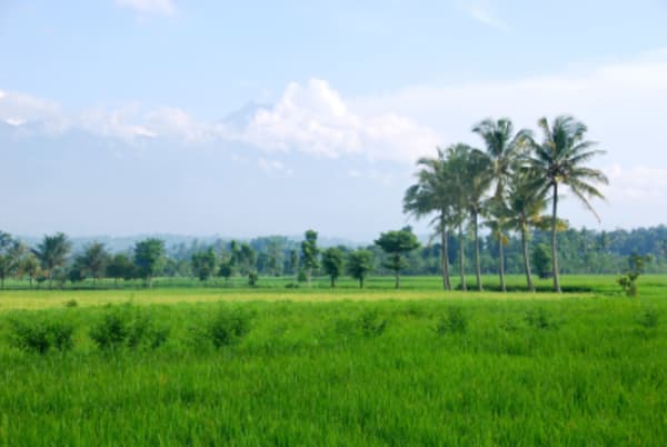 Bali, Gili Islands and Lombok Adventure - 2