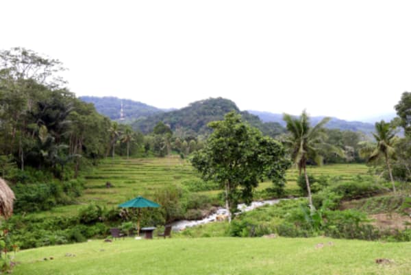 Bali and Flores Culture, Wildlife and Coast - 9