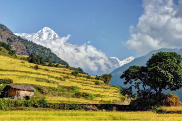 Discover The Best Of Nepal - 4