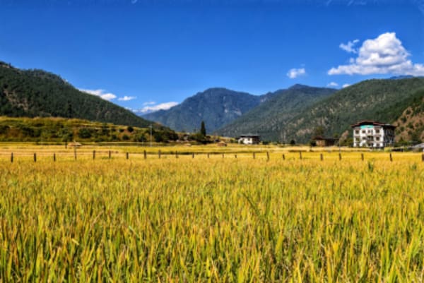Bhutan Cultural Tour - 5