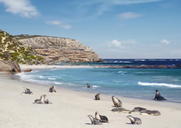 Best of Australia - 7