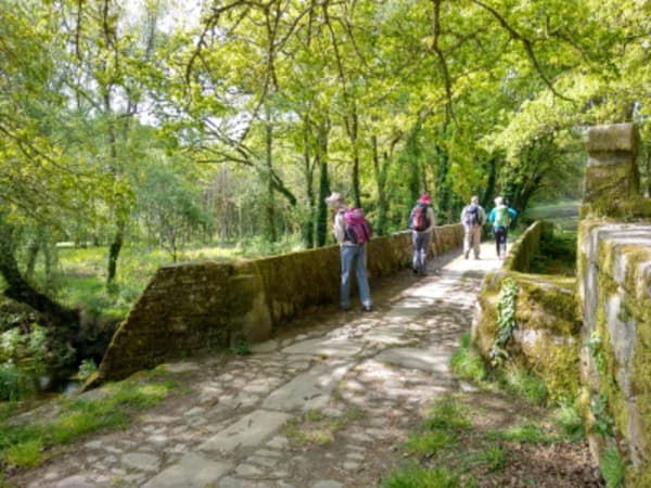 Camino de Santiago: The French Way - 2