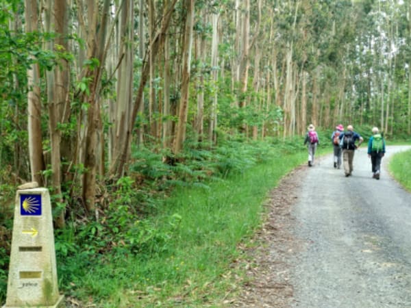 Camino de Santiago: The French Way - 5