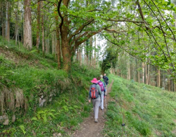 Camino de Santiago: The French Way - 3