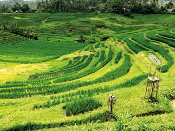 The Treasures of Bali and Lombok - 21
