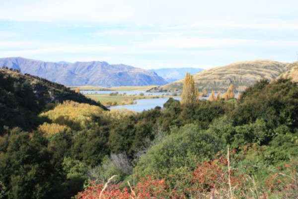 From Queenstown to Christchurch - 6