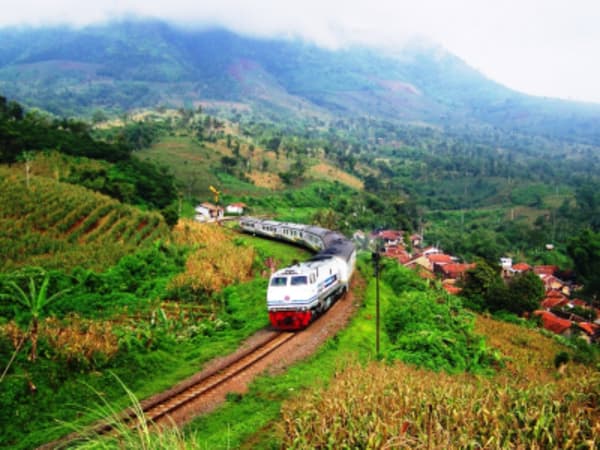DISCOVER INDONESIA. From the Sumatran jungles to Komodo passing through Java and Bali. - 12
