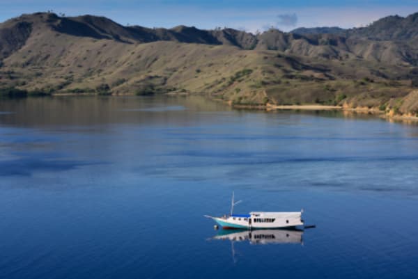 DISCOVER INDONESIA. From the Sumatran jungles to Komodo passing through Java and Bali. - 23