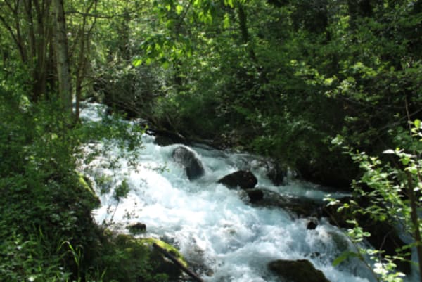 Western Balkans - 47