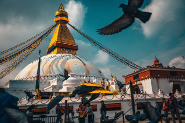 Discover Bhutan and Nepal - 3