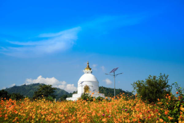 Discover Bhutan and Nepal - 11