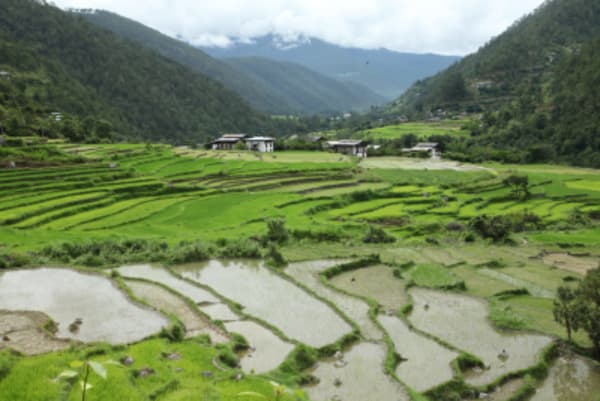 Discover Bhutan and Nepal - 22