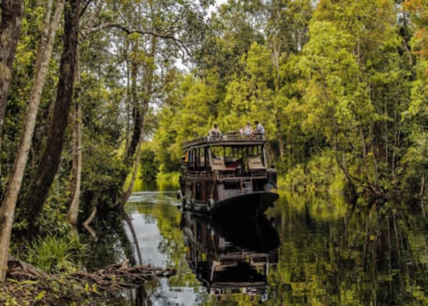 The culture and history of Java and the wild life of Indonesian Borneo - 15
