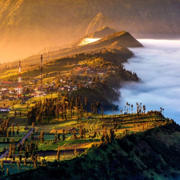 The culture and history of Java and the wild life of Indonesian Borneo - 24