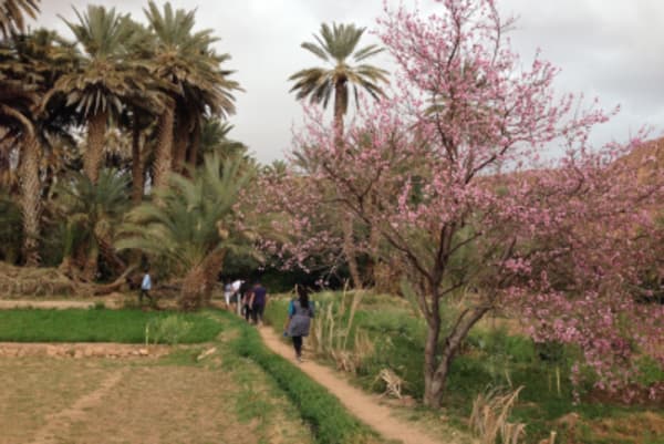 Best family escape to the Sahara Desert of Morocco - 5