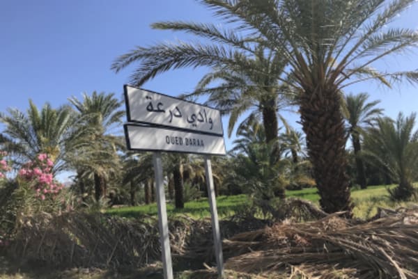 Best family escape to the Sahara Desert of Morocco - 9
