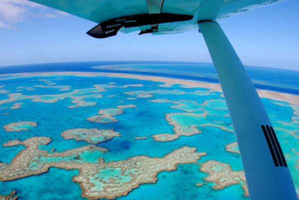 Honeymoon in Australia - 14