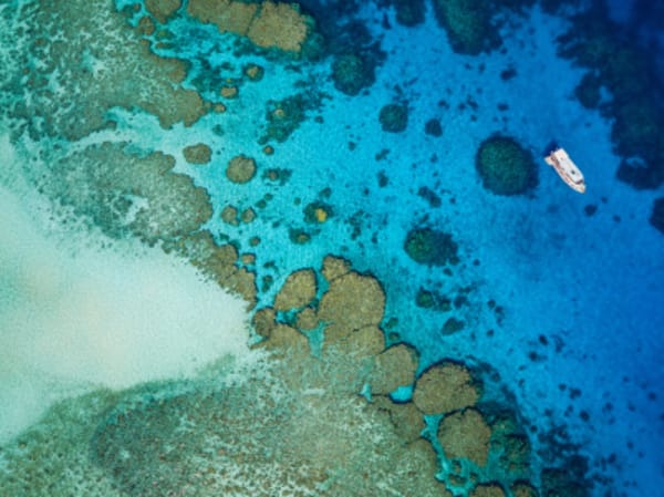 Honeymoon in Australia - 17
