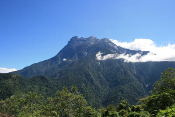 Wildlife Trail of Borneo - 21