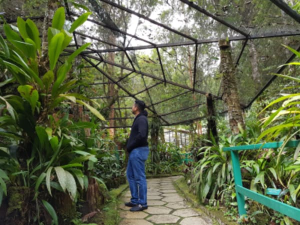 Wildlife Trail of Borneo - 19