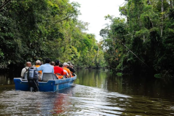 Wildlife Trail of Borneo - 17