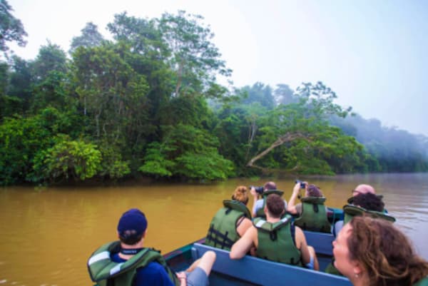 Wildlife Trail of Borneo - 29