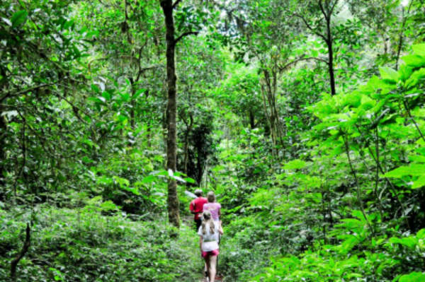 The hidden treasure of Bali and exotic beaches of Nusa Penida - 11