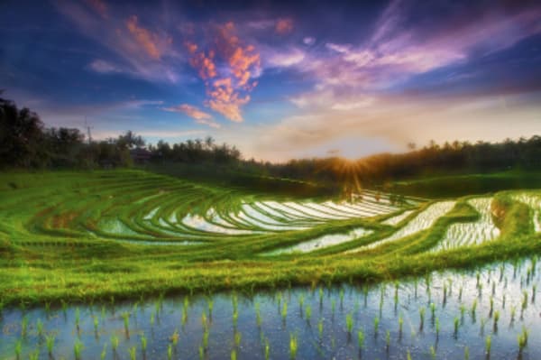 The hidden treasure of Bali and exotic beaches of Nusa Penida - 20