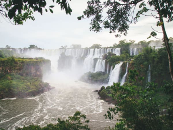 Family adventure  - Wildlife Adventure in the Argentinian Jungle - 6