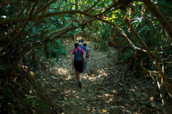 Northern Laos: Hilltribes & Jungles - 5