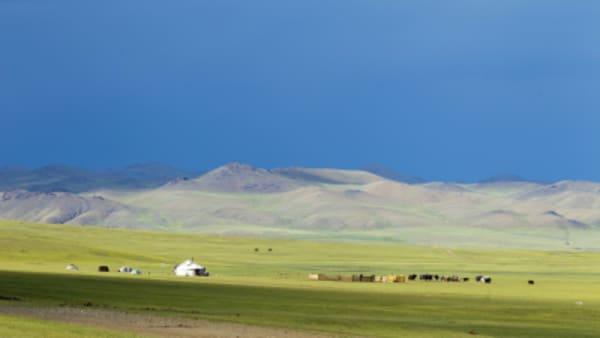 Flavours of Mongolia - 1