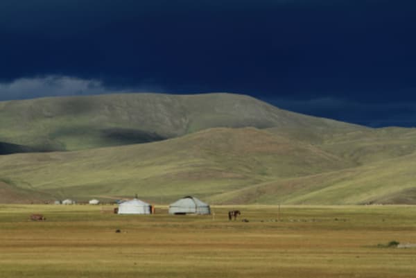 Flavours of Mongolia - 11