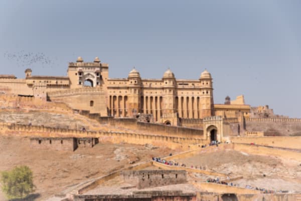 Northern & Western Golden Triangle of India Vineyard Special - 11