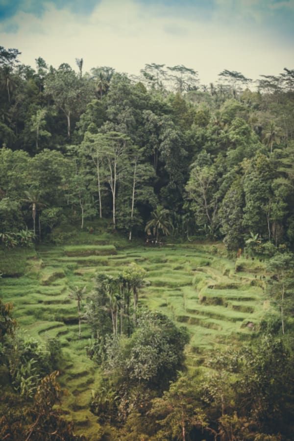 DISCOVER BALI & THE VOLCANOES - 9