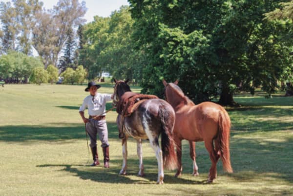 Luxury Adventure in Argentina - 7